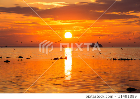 Cruise liner ship in sunset in sea Cruise liner ship in sunset in sea 11491889