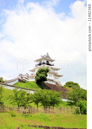 在夏天天空的Kakegawa城堡 11492368