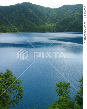 Oonumi Pond 11492540