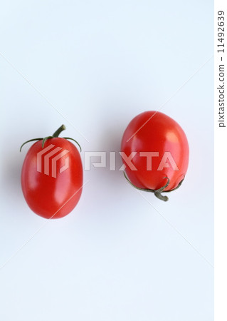 Summer vegetables (tomatoes) 11492639