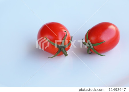 Summer vegetables (tomatoes) 11492647