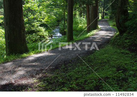 Niigata ken Gozen shi Kichikoji approaching path Niigata ken Gozen shi Kichikoji approaching path 11492834