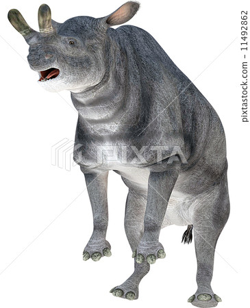 Brontotherium ☆ Brontotherium 11492862
