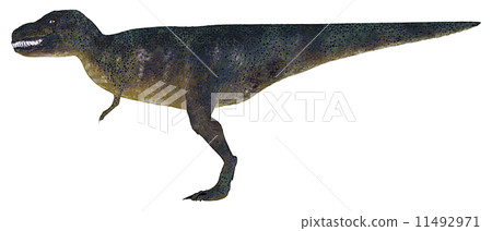 T-REX☆霸王龍 11492971