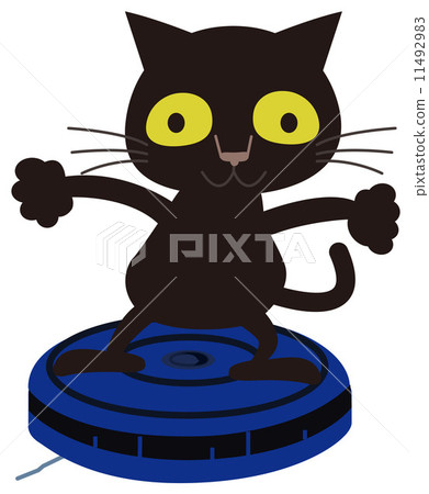 一隻貓 波斯貓 貓 11492983