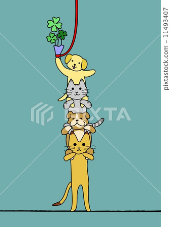 Cooperation Cooperation 11493407