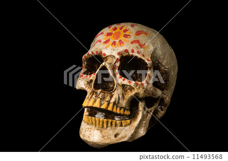 Day of The Dead Skull Day of The Dead Skull 11493568