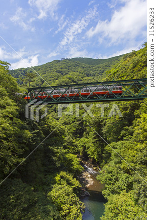 箱根登山鐵路穿越Izayama鐵橋 箱根登山鐵路穿越Izayama鐵橋 11526233