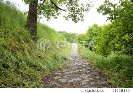 山邊道 11526383