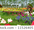 A garden 11526405