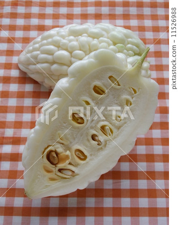 白色goya的橫斷面 11526988