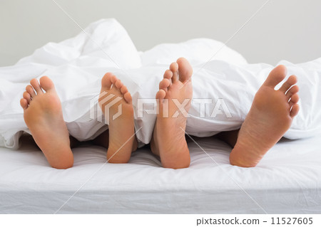 Couples feet sticking out from under duvet 11527605