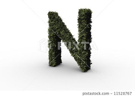 Capital letter n made of leaves Capital letter n made of leaves 11528767