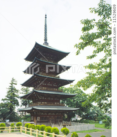 最高的地方五層寶塔,弘前 最高的地方五層寶塔,弘前 11529609