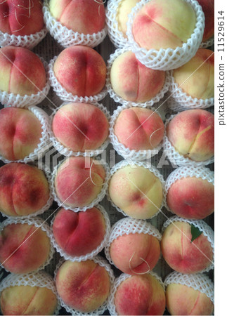 水果桃 水果桃 11529614