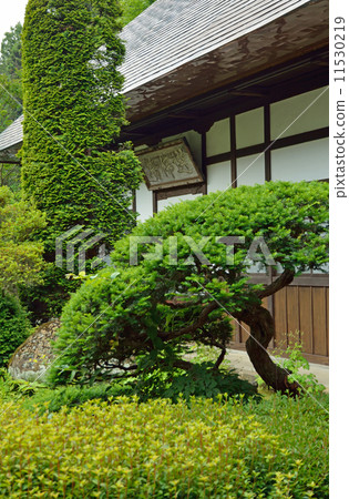 Walking Ueda · Zakuradera Zazen zodo 11530219