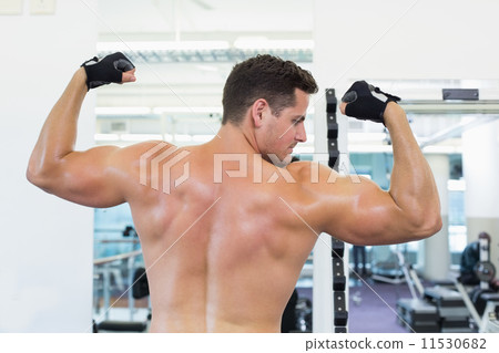 Shirtless bodybuilder flexing his biceps 11530682