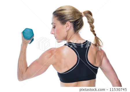 Female bodybuilder holding a dumbbell Female bodybuilder holding a dumbbell 11530745