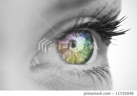 Multi colored eye on grey face Multi colored eye on grey face 11530846