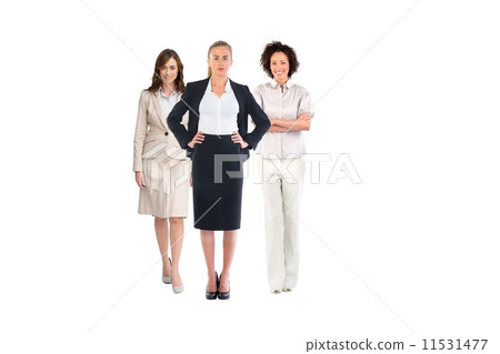 Team of businesswomen looking at camera 11531477