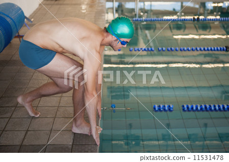 Fit swimmer ready to dive into the pool 11531478