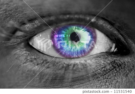 Multi colored eye on grey face Multi colored eye on grey face 11531540