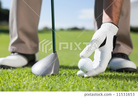 Golfer placing golf ball on tee Golfer placing golf ball on tee 11531653