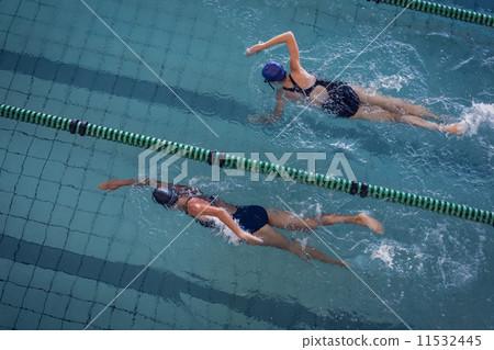 Female swimmers racing in the swimming pool 11532445