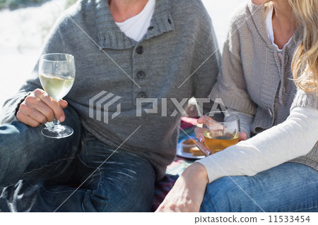 Couple enjoying white wine on picnic at the beach 11533454