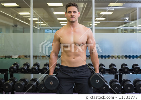 Shirtless determined bodybuilder lifting heavy black dumbbells Shirtless determined bodybuilder lifting heavy black dumbbells 11533775