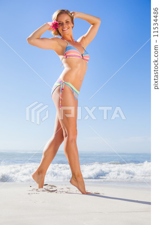 Gorgeous blonde in bikini on the beach smiling at camera 11534486