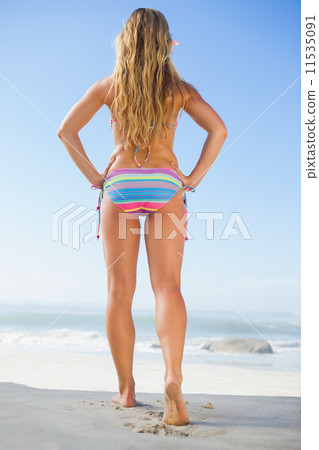 Rear view of fit woman in bikini on beach Rear view of fit woman in bikini on beach 11535091