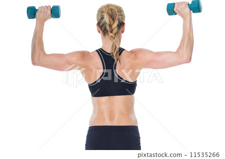 Female bodybuilder holding two dumbbells with arms up Female bodybuilder holding two dumbbells with arms up 11535266