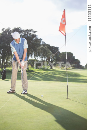 Golfer putting ball on the green Golfer putting ball on the green 11535511
