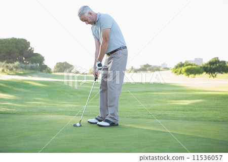 Golfer putting ball on the green 11536057