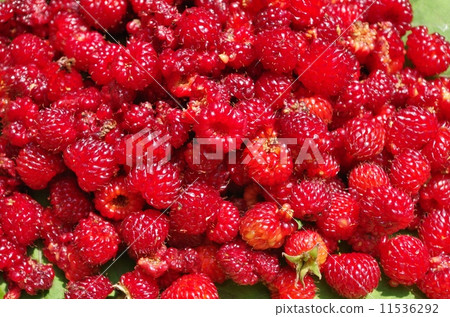 Vallicigo 2 Vallicigo 2 11536292