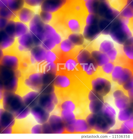 Bacteria cells close up 11536358