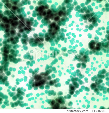 Bacteria cells close up 11536369
