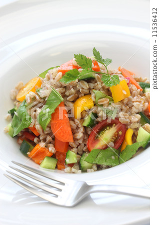 Spelled Wheat Salad Spelled Wheat Salad 11536412