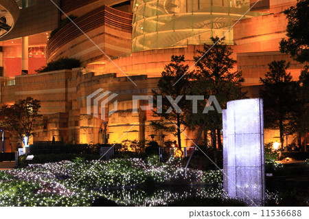 森林花園和六本木新城的聖誕節照明 11536688