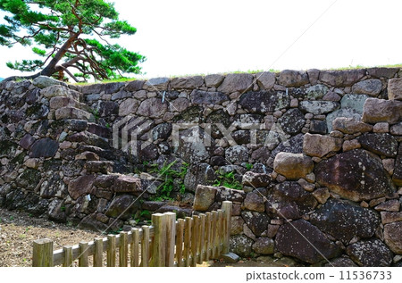 Matsushiro Castle Musharu run(主要西側的石垣) Matsushiro Castle Musharu run(主要西側的石垣) 11536733