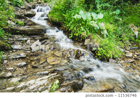 Mountain stream Mountain stream 11536746