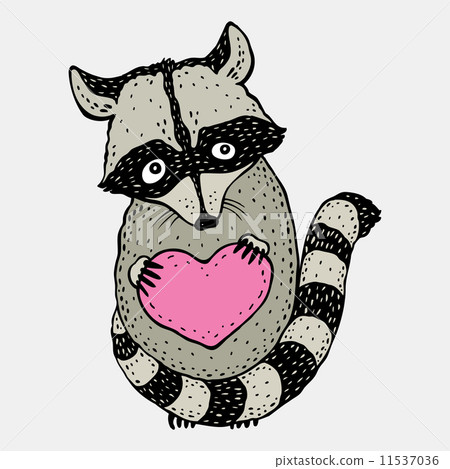 Raccoon carrying a heart. 11537036