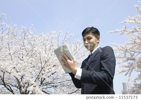 Businessman         11537173