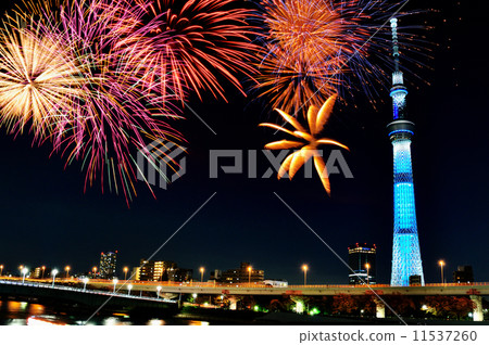 煙花和天空樹 11537260
