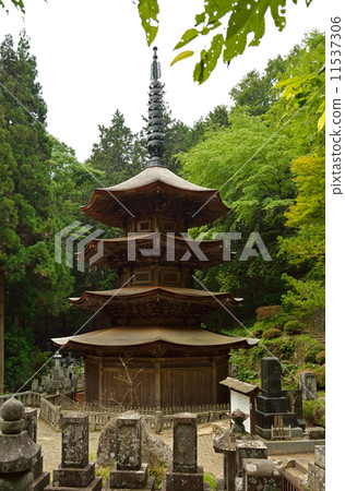 步行上田·阿納庫拉寺的八角三塔 11537306