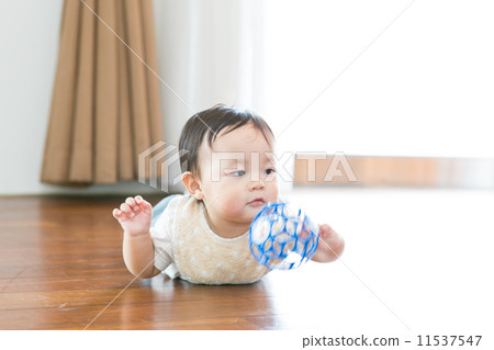 11 months old baby shopping 11537547