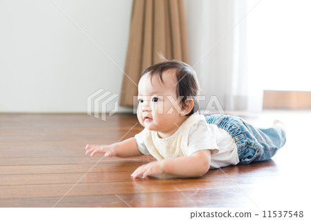 11 months old baby shopping 11537548