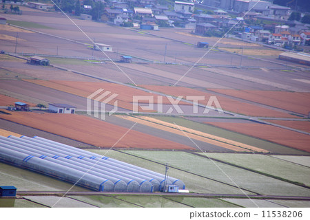 Countryside scenery of June 11538206