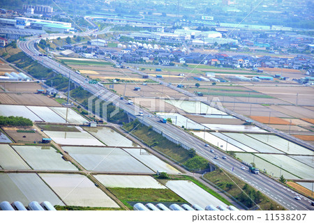 Countryside scenery of June 11538207